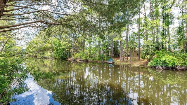 60 Whittington Dr, Palm Coast, FL 32164 - photo 30