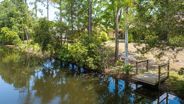 60 Whittington Dr, Palm Coast, FL 32164 - photo 33