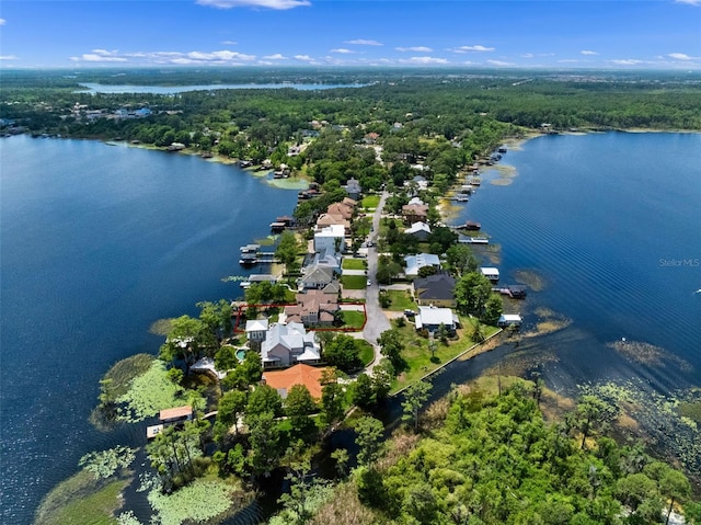 9916 Lone Tree Ln, Orlando, FL 32836 - drone / aerial view of a nearby body of water and a forest