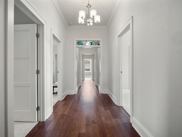 9916 Lone Tree Ln, Orlando, FL 32836 - hallway with dark wood-style flooring, a chandelier, crown molding, and baseboards
