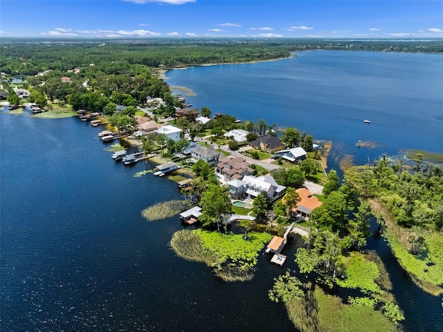 9916 Lone Tree Ln, Orlando, FL 32836 - bird's eye view of a large body of water