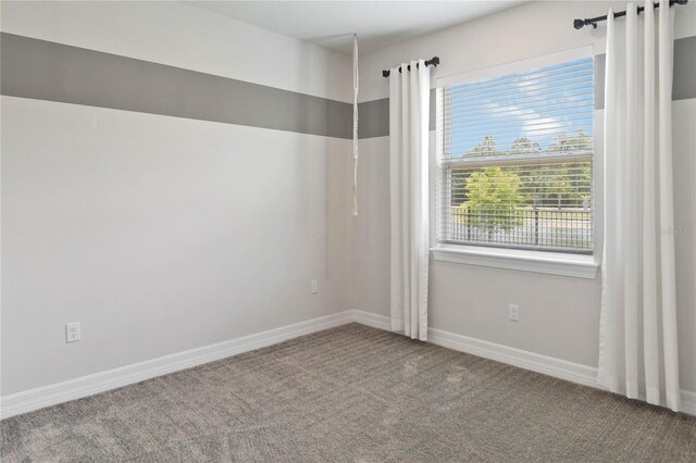 4119 Sunset Preserve Blvd, Orlando, FL 32820 - photo 24