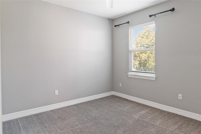 4119 Sunset Preserve Blvd, Orlando, FL 32820 - photo 26