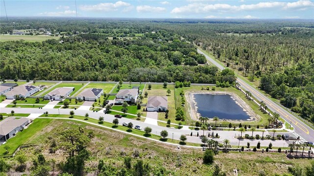 4119 Sunset Preserve Blvd, Orlando, FL 32820 - photo 50