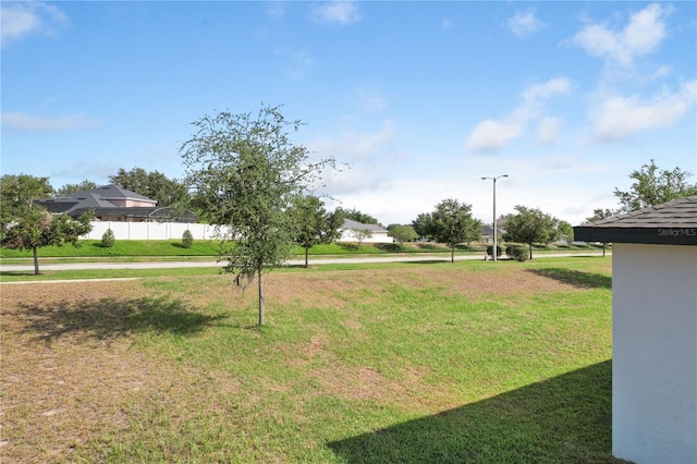 1119 Union Ave, Mascotte, FL 34753 - view of yard