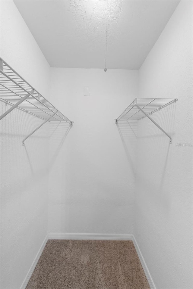 1550 Maxwell Ln, Deltona, FL 32738 - walk in closet with carpet