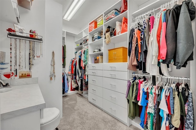 3149 Songbird Cir, Harmony, FL 34773 - spacious closet with light carpet
