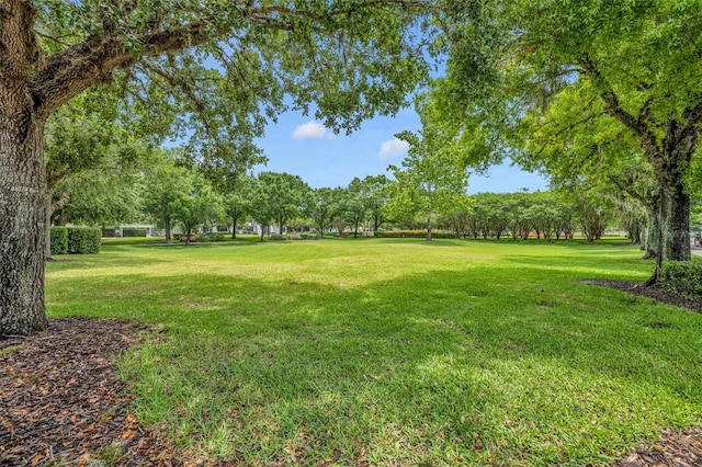 3149 Songbird Cir, Harmony, FL 34773 - view of grassy yard