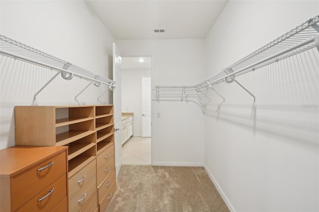 8932 SW 101st Cir, Ocala, FL 34481 - spacious closet with light colored carpet