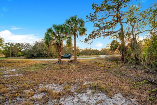 1411 Sarasota Ct, Poinciana, FL 34759