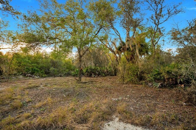 1411 Sarasota Ct, Poinciana, FL 34759