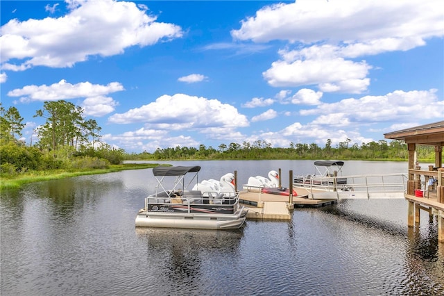 dock with a water view