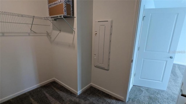7612 Danube Rd, Kissimmee, FL 34746 - walk in closet with dark carpet