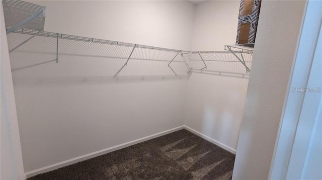 7612 Danube Rd, Kissimmee, FL 34746 - spacious closet with dark colored carpet