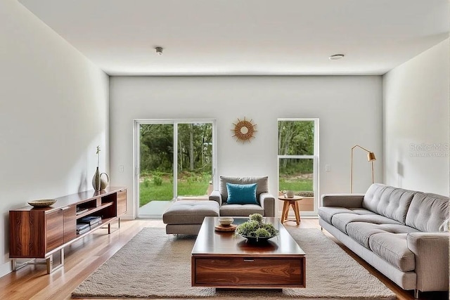 living area with wood finished floors