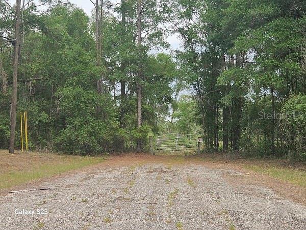 1650 E Withlacoochee Trl, Dunnellon, FL 34434 - photo 8