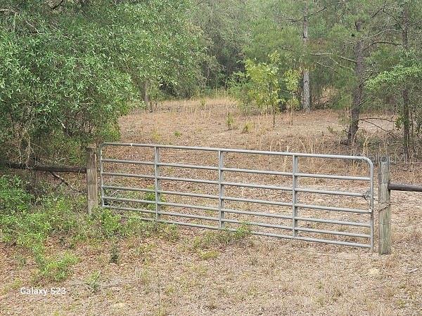 1650 E Withlacoochee Trl, Dunnellon, FL 34434 - photo 2
