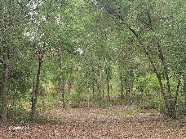 1650 E Withlacoochee Trl, Dunnellon, FL 34434 - photo 5