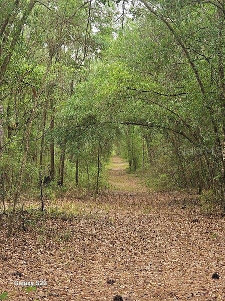 1650 E Withlacoochee Trl, Dunnellon, FL 34434 - photo 6