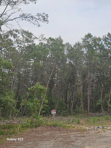 1650 E Withlacoochee Trl, Dunnellon, FL 34434 - photo 7