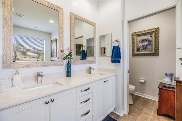 8721 Crystal Creek Ct, Land O Lakes, FL 34638 - bathroom featuring wood finished floors, double vanity, toilet, and baseboards