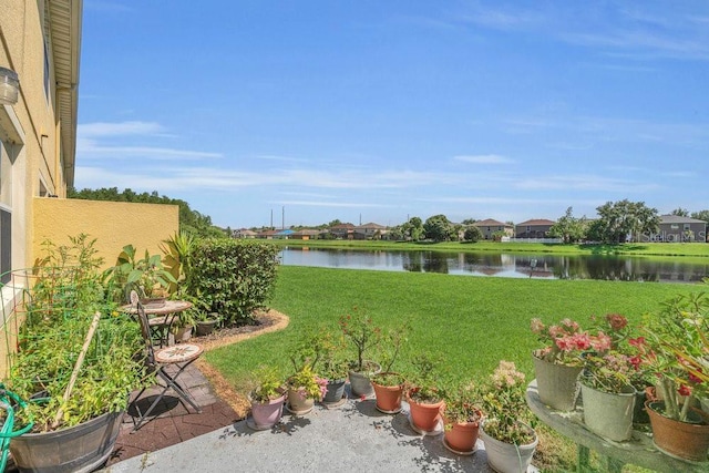13480 Applerose Ln Unit 19, Orlando, FL 32824 - view of grassy yard with a water view
