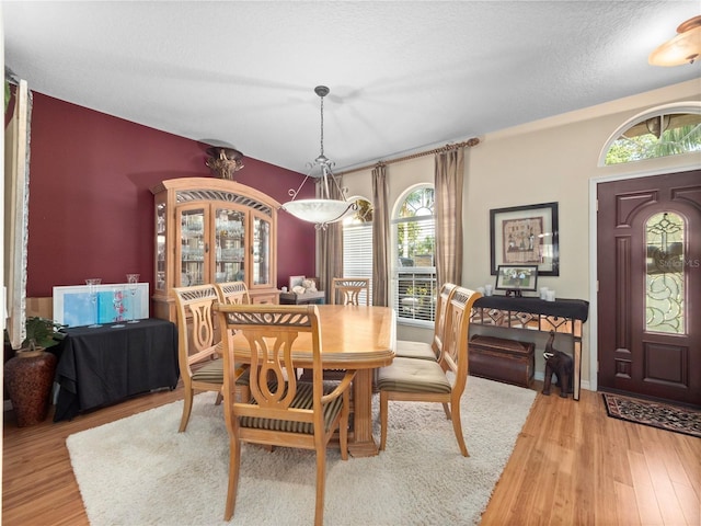 1319 Castleport Rd, Winter Garden, FL 34787 - dining space featuring light wood-style flooring