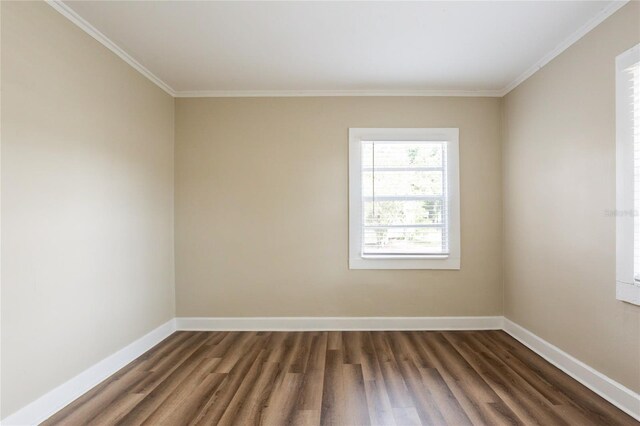 1424 14th St S, Saint Petersburg, FL 33705 - photo 14