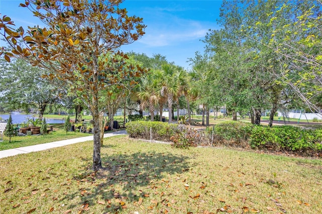 view of green lawn with a water view