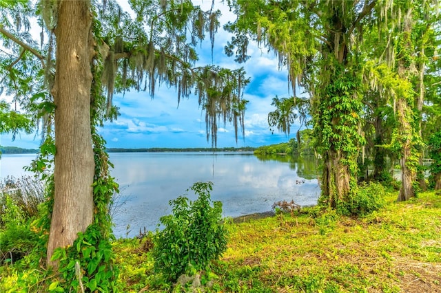 1177 Paseo Del Mar Unit D, Casselberry, FL 32707 - photo 49