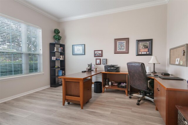 595 American Holly Pl, Oviedo, FL 32765 - office featuring ornamental molding, light wood-style flooring, and baseboards