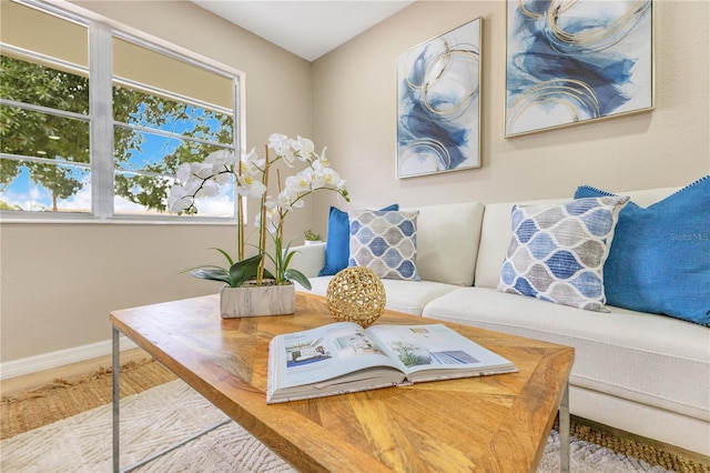 living area with healthy amount of natural light and baseboards