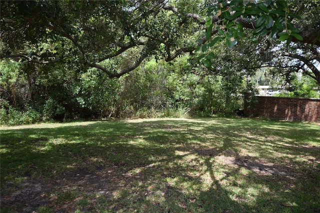 view of green lawn