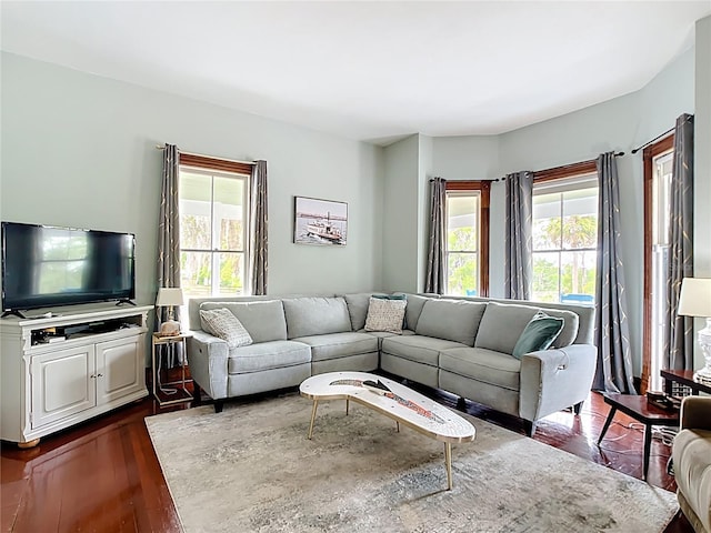 511 E Mirror Lake Dr, Fruitland Park, FL 34731 - living area featuring dark wood-style floors