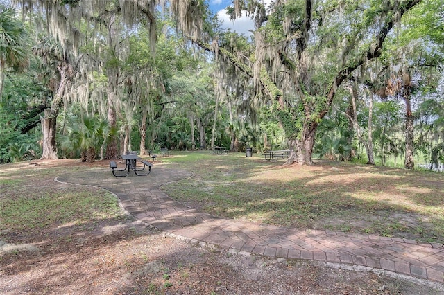 455 Lazio Cir, Debary, FL 32713 - view of yard