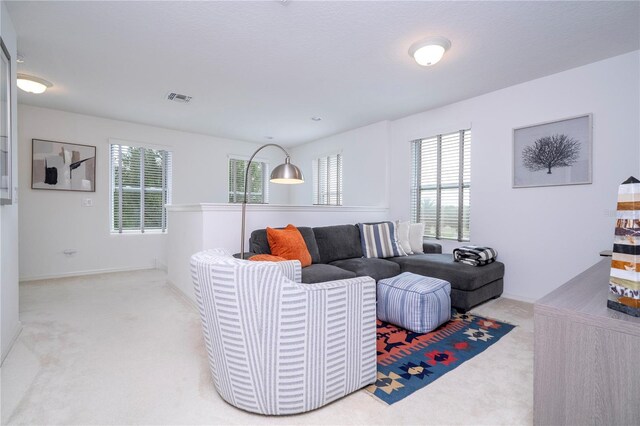 6543 Orange Cream Aly, Winter Garden, FL 34787 - view of carpeted living room