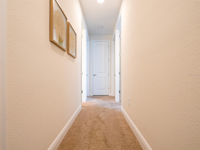 311 W Falls Dr, Kissimmee, FL 34747 - hall with light carpet, baseboards, and a textured wall
