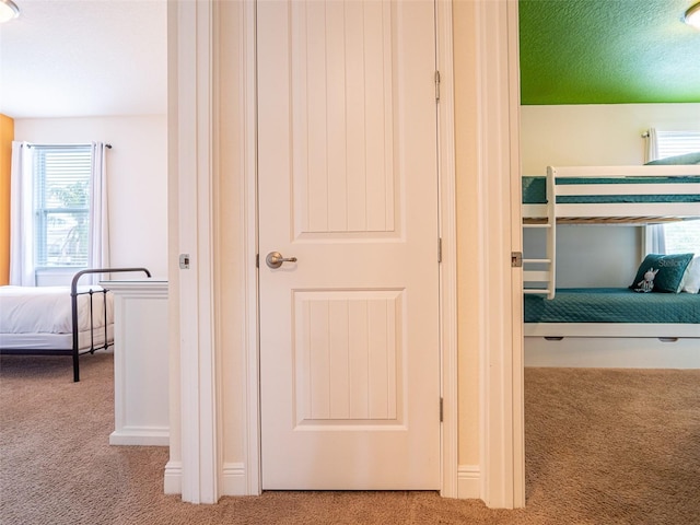 311 W Falls Dr, Kissimmee, FL 34747 - view of carpeted bedroom
