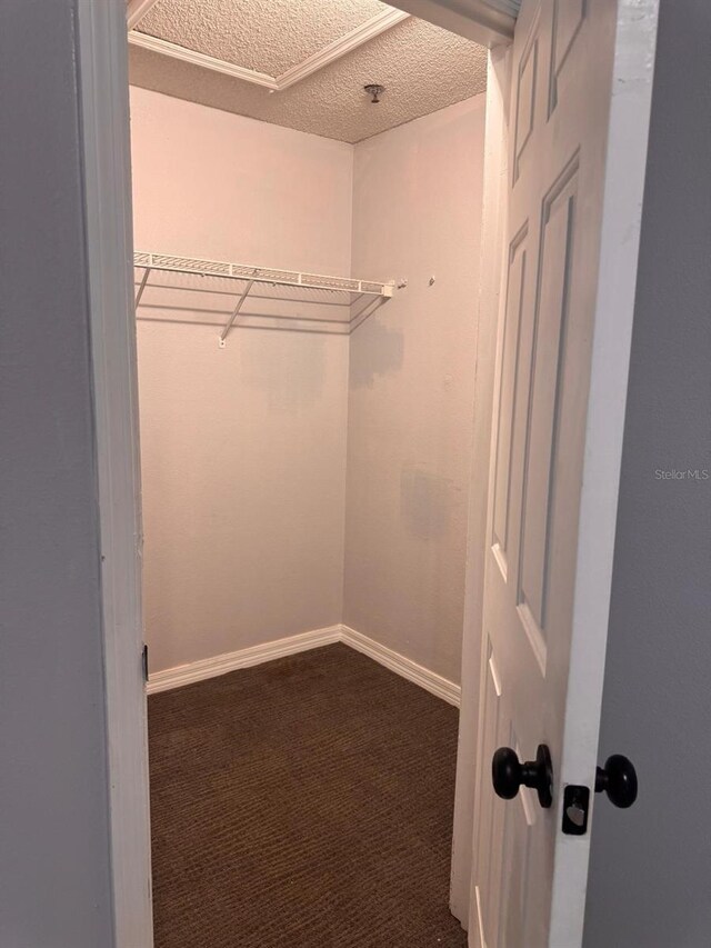 1603 Emily Ct, Kissimmee, FL 34744 - spacious closet featuring dark colored carpet