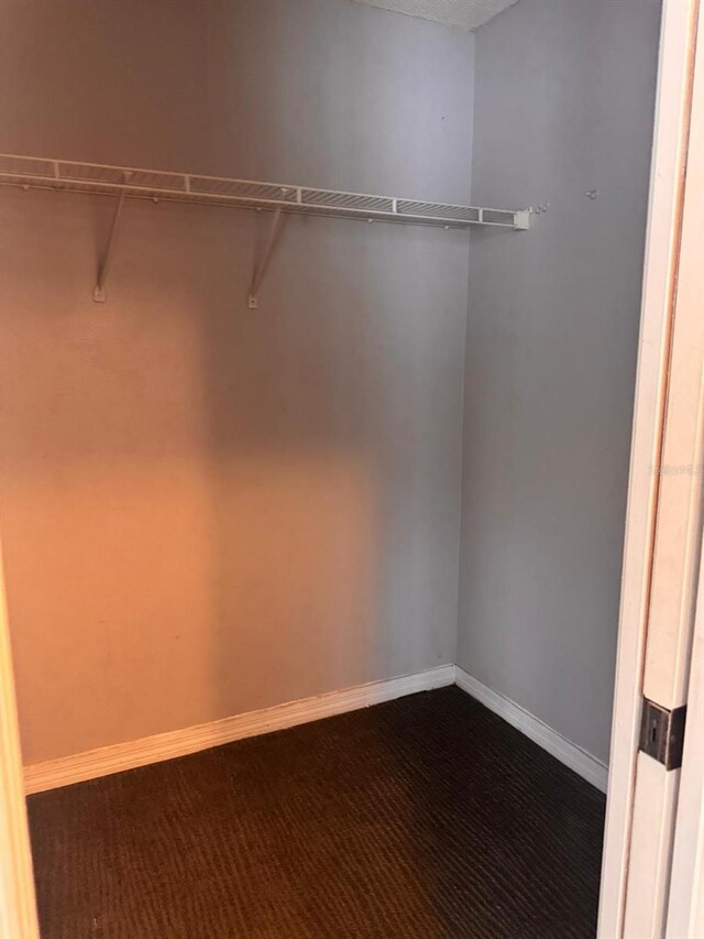 1603 Emily Ct, Kissimmee, FL 34744 - walk in closet with dark carpet