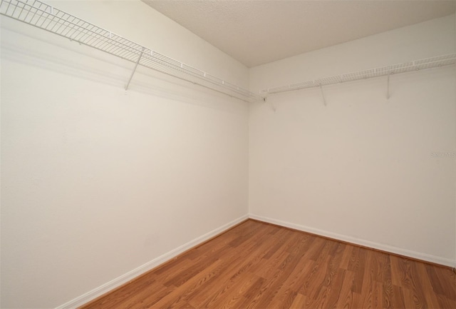 115 Bristol Forest Trl, Sanford, FL 32771 - walk in closet with light wood-type flooring