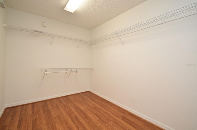 115 Bristol Forest Trl, Sanford, FL 32771 - walk in closet with wood finished floors