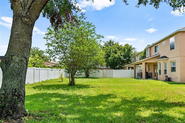 12917 Grovehurst Ave, Winter Garden, FL 34787 - view of yard