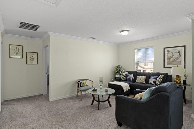 1553 Caterpillar St, Saint Cloud, FL 34771 - carpeted living area featuring ornamental molding, baseboards, and a textured ceiling