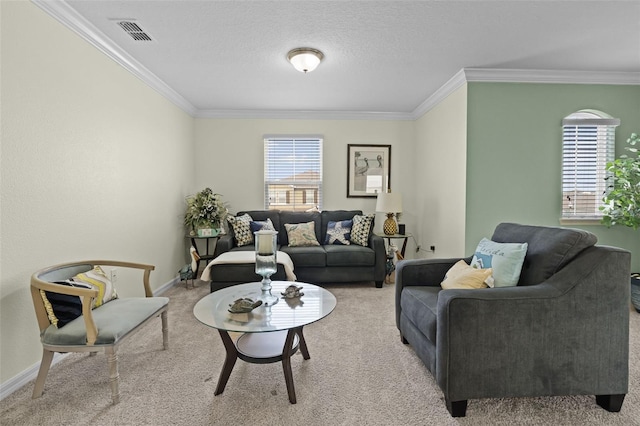 1553 Caterpillar St, Saint Cloud, FL 34771 - carpeted living area with crown molding and baseboards