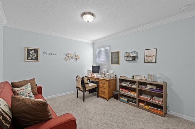 1553 Caterpillar St, Saint Cloud, FL 34771 - office area with crown molding, light carpet, a textured ceiling, and baseboards