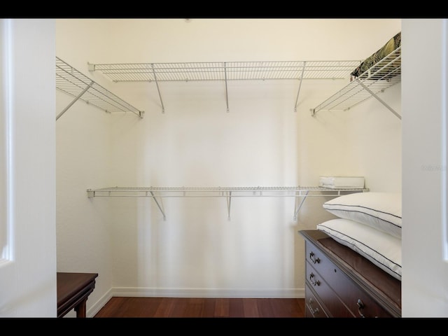 1064 N Tamiami Trl Unit 1219, Sarasota, FL 34236 - walk in closet featuring wood finished floors