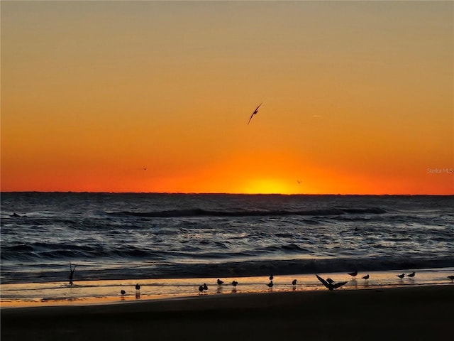 2 Pirates Cv, Ormond Beach, FL 32176 - water view featuring nearby beach