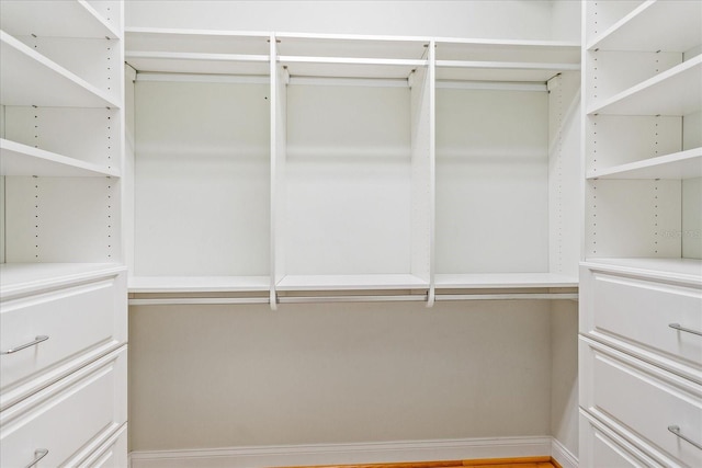 17631 Vista Belle Ct, Montverde, FL 34756 - view of spacious closet