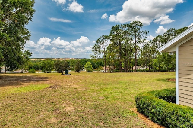 17631 Vista Belle Ct, Montverde, FL 34756 - view of grassy yard